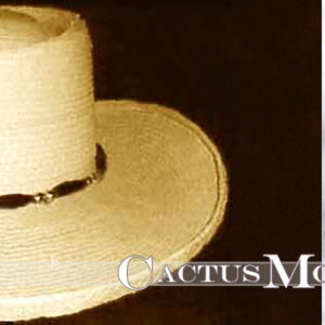 Beaded Hat Bands with Conchos