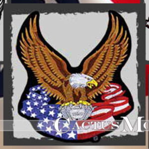 American Eagle Patches